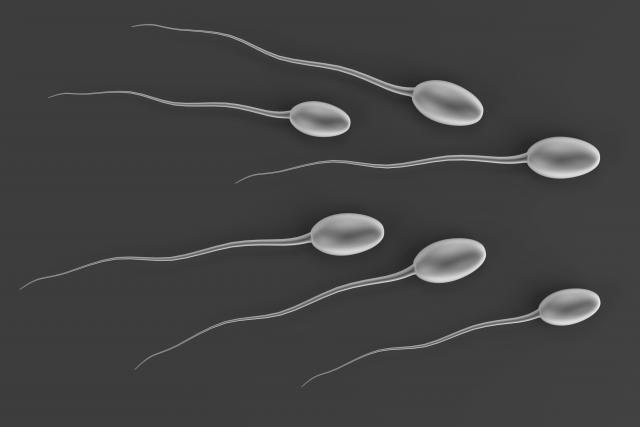 Otkrivena tajna - kako zaista spermatozoid pliva